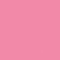 Rock 'n' Rose paint color DE5060 #FC8AAA