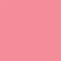 Strawberry Shortcake paint color DE5081 #FA8E99