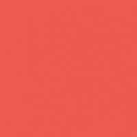 Amour paint color DE5104 #EE5851