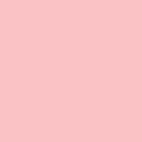 Pink and Sleek paint color DE5108 #FFC3C6