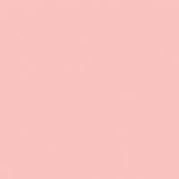 Ladylike paint color DE5121 #FFC3BF
