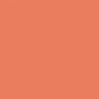 Orange Daylily paint color DE5145 #EB7D5D