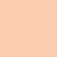 Tender Peach paint color DE5157 #FFCDAF