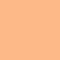Savannah Sun paint color DE5165 #FFB989