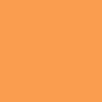 Tangerine Tango paint color DE5194 #FF9E4B