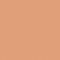 Pecan Veneer paint color DE5207 #E09F78