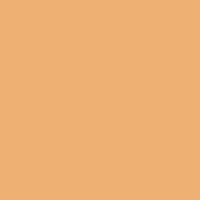 Beeswax paint color DE5242 #F0B073