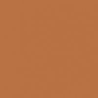 Spice Cake paint color DE5251 #B87243