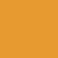 Persimmon paint color DE5293 #E59B34