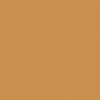 Slightly Golden paint color DE5299 #CB904E