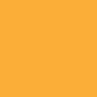 Ripe Pumpkin paint color DE5307 #FFAF37