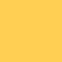 Melted Butter paint color DE5313 #FFCF53
