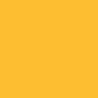 Vibrant Honey paint color DE5314 #FFBD31