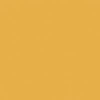 Lion's Mane paint color DE5319 #E8AF49