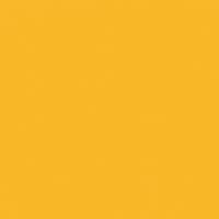 Hot Sun paint color DE5349 #F9B82B