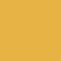 Honey Glow De5354 Paint Color E8b447 Dunn Edwards Paints