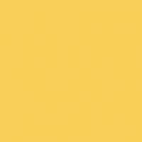 Rubber Ducky paint color DE5390 #FACF58