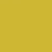 Yellow Stone paint color DE5467 #CEB736