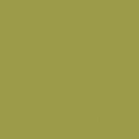 Lazy Lizard paint color DE5523 #9C9C4B