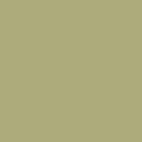 Stuffed Olive paint color DE5529 #ADAC7C