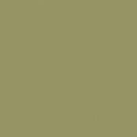 Military Green paint color DE5530 #969565