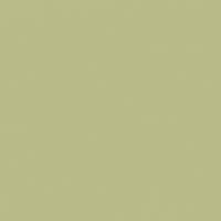 Aloe Plant paint color DE5563 #B8BA87