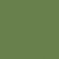 Shaded Spruce paint color DE5587 #688049