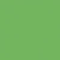 Palm Tree paint color DE5600 #74B560