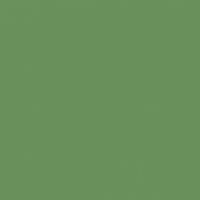Irish Charm paint color DE5608 #69905B