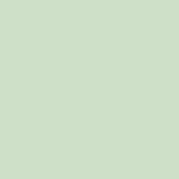 Endive paint color DE5618 #CEE1C8