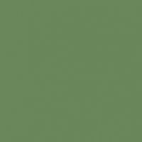 Thicket paint color DE5622 #69865B