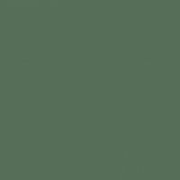 Green Bayou paint color DE5650 #566E57