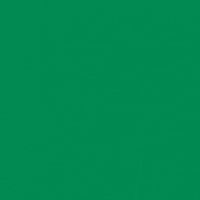Later Gator paint color DE5678 #008A51