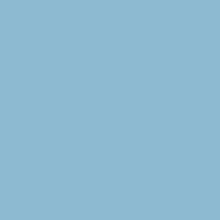 Bonnie Blue paint color DE5807 #8DBBD1
