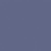 Champion Blue paint color DE5915 #606788