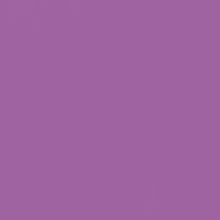 Royal Pretender paint color DE5999 #A063A1