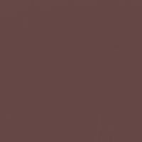 Outer Boundary paint color DE6021 #654846