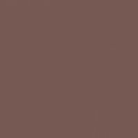 Pine Cone paint color DE6048 #765952
