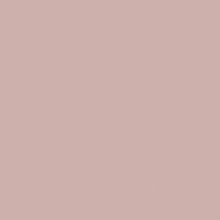 Dusty Trail paint color DE6052 #CDB1AB
