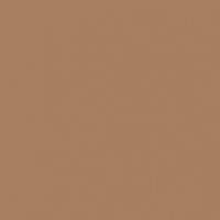 S'mores paint color DE6111 #A87F5F