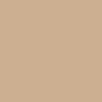 Dover Plains paint color DE6116 #CCAF92