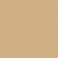 Warm Butterscotch paint color DE6151 #D0B082