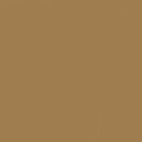Pyramid paint color DE6153 #9F7D4F