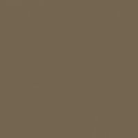 Ancient Earth paint color DE6217 #746550