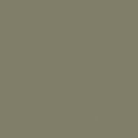 Smoky Forest paint color DE6244 #817D68