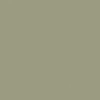 Battle Harbor paint color DE6257 #9C9C82