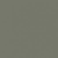 Armored Steel paint color DE6279 #747769