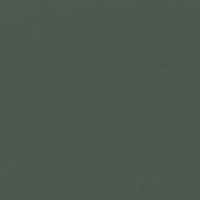 Black Spruce paint color DE6308 #4C5752