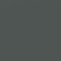 Black Pool paint color DE6315 #4F5552