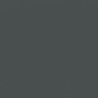 Cover of Night paint color DE6329 #494E4F